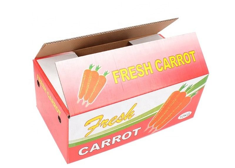 Luxury Folding Custom Size Shipping Boxes , Colored Custom Cardboard Shipping Boxes